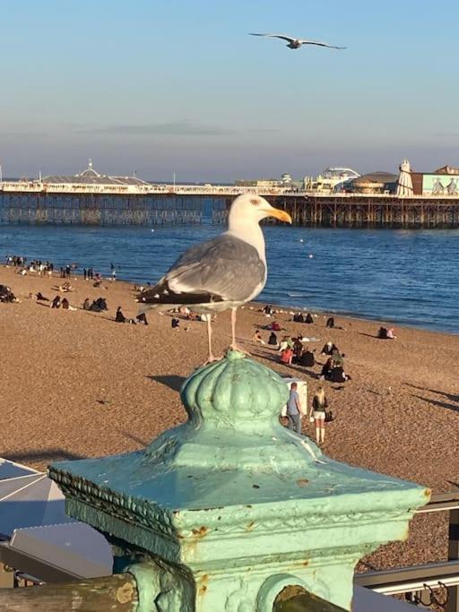 Regency Brighton Seafront Apartment Luaran gambar